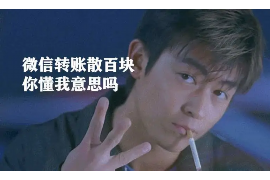 宜阳债务清欠服务